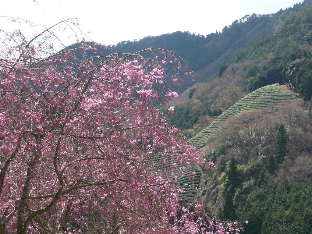 מלון Kizugawa Kyoto Wazukaso מראה חיצוני תמונה