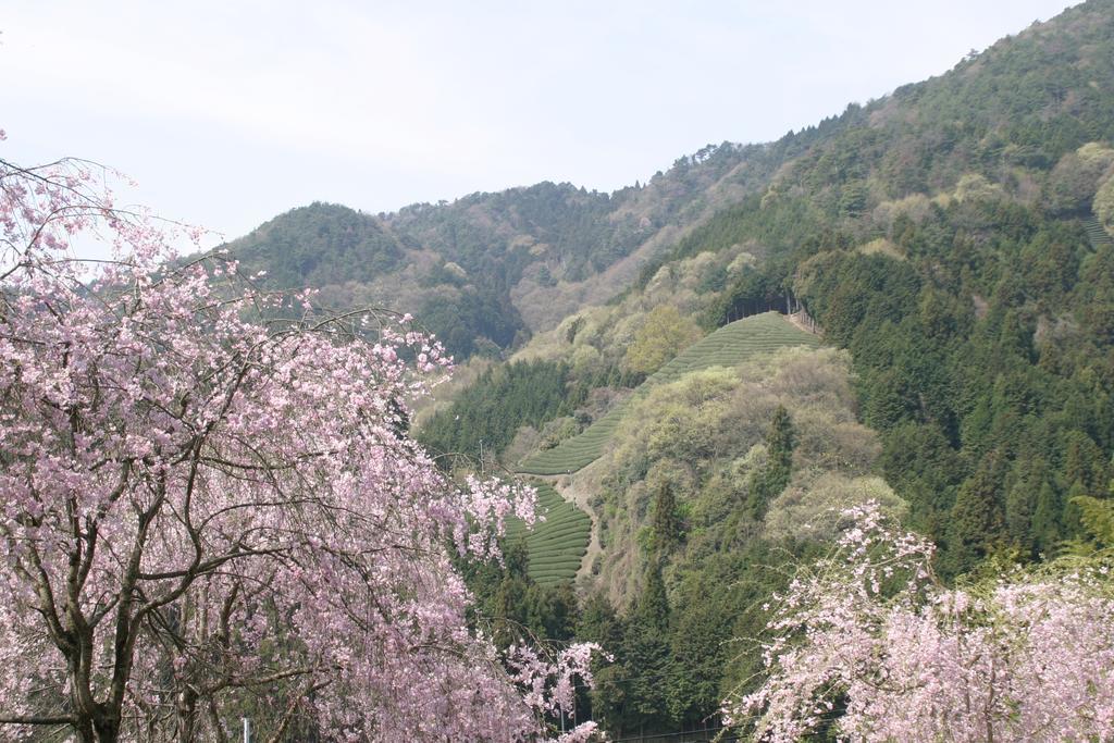 מלון Kizugawa Kyoto Wazukaso מראה חיצוני תמונה